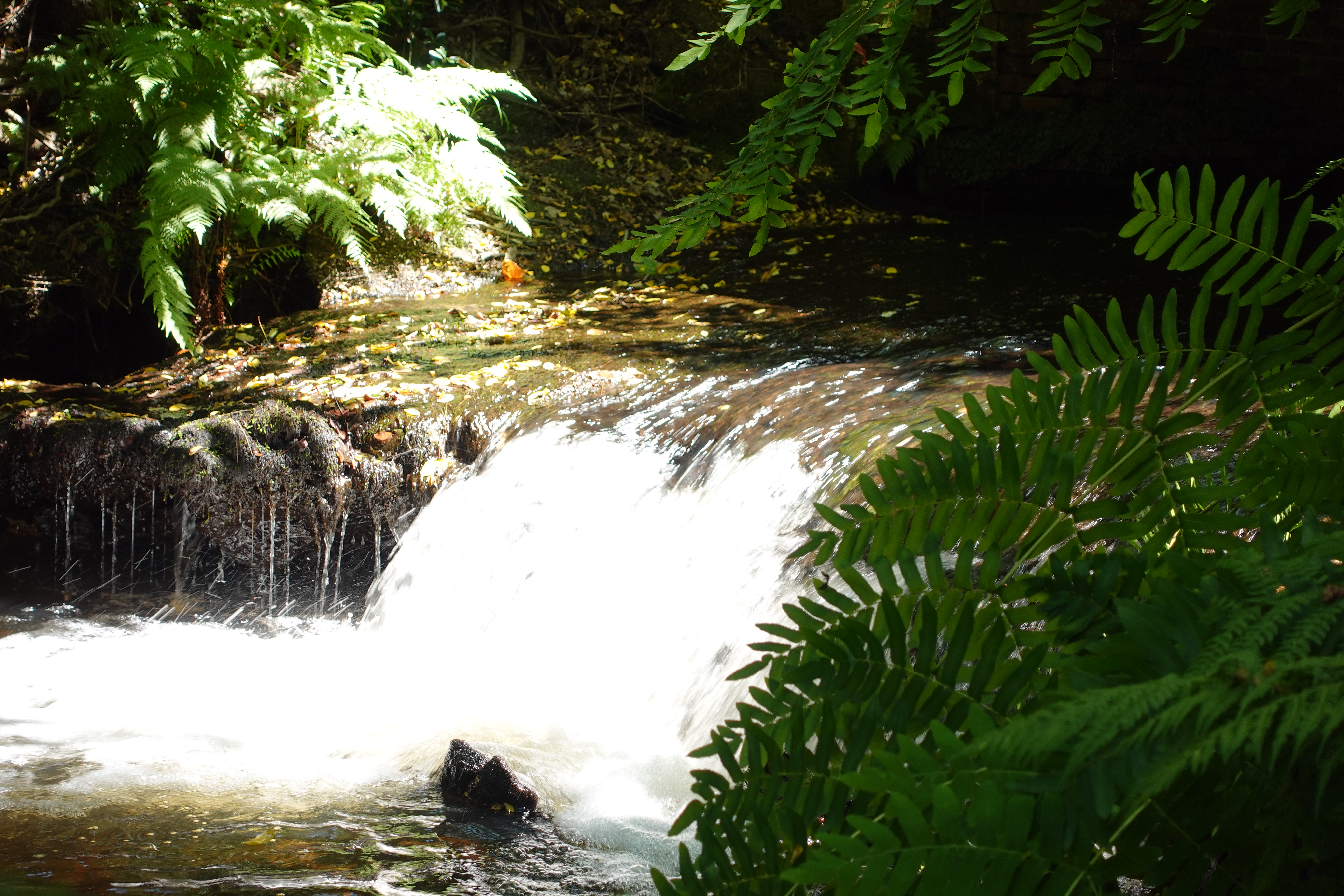 A clean, flowing stream of pure water.
